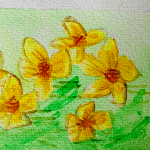 Peinture aquarelle représentant un champ de fleurs boutons d'or de couleur jaune dans de l'herbe verte.