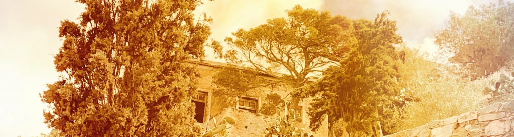 Photographie de la ville de Knossos en Crète représentant une maison caché par un grand cyprès