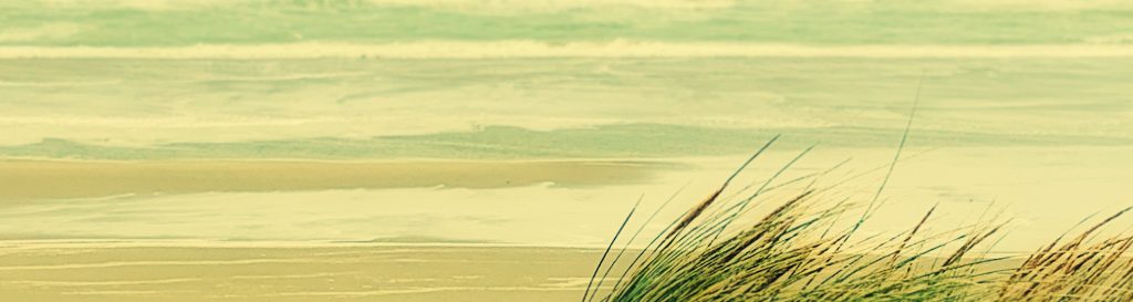 Photographie d'une dune un jour de tempête, la mer à l'horizon, les vagues pleine d'écumes, le sable virevoltant dans l'air.