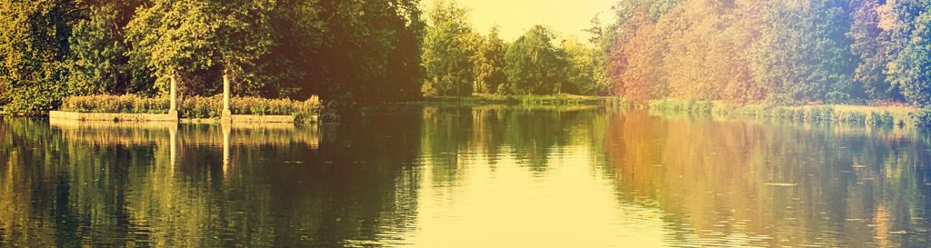 Photographie du lac du château de Rambouillet où se reflètent les arbres majestueux au feuillage rouge et vert.