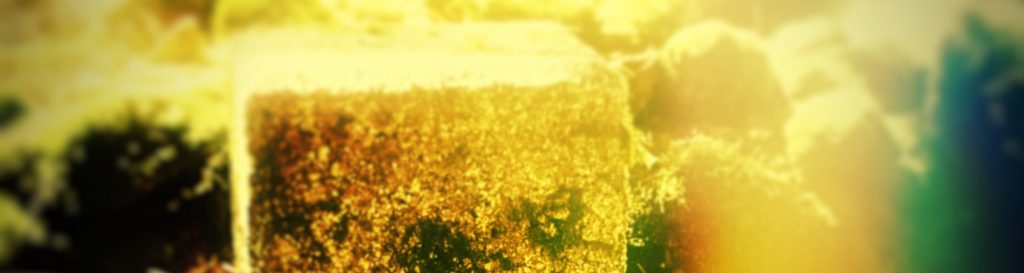 Photographie d'une borne de granit gravée qui symbolisent la première annexion allemande.