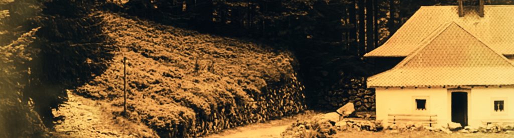 Photographie de la chapelle de frère Joseph, moine reclus seul au milieu de la forêt de sapins.
