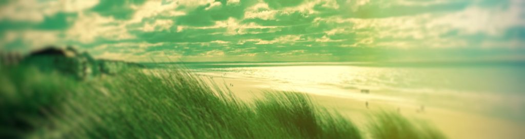 Photographie d'une dune sous le soleil avec un ciel bleu azur et des nuages blancs qui dansent au gré du vent.