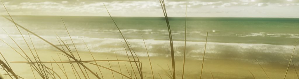 Photographie de la mer vue d'une dune de sable un jour d'automne.