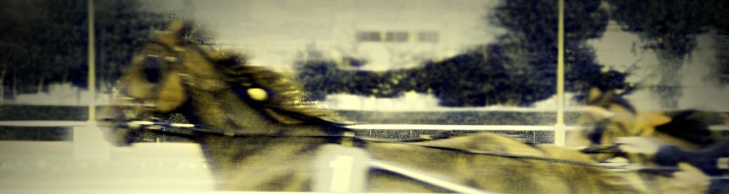 Photographie d'un cheval au trot pendant une course hippique.