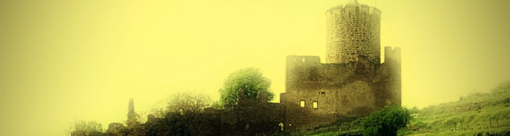 Photographie d'un château fort entourée de vignes vertes et luxuriantes.