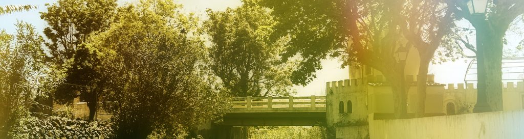 Photographie de la rivière bordée d'arbousier et d'eucalyptus.