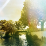 Photographie de la rivière bordée d'arbousier et d'eucalyptus. 