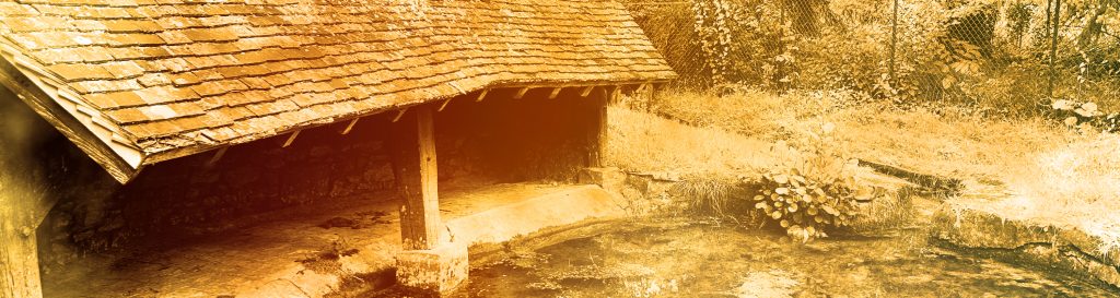 Un lavoir ancien, harmonieusement dissimulé parmi les arbres centenaires, offrant un tableau pittoresque et apaisant où la nature rencontre l'histoire.