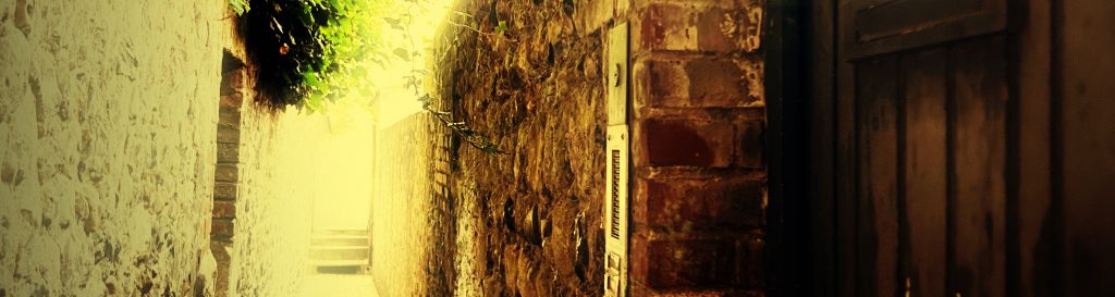 Photographie représentant une ruelle de Honfleur baignée par la lumière d'été.