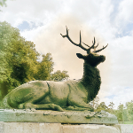 Statue artistique d'un cerf couché dans le parc du château de Rambouillet, capturant l'élégance et la majesté de la nature dans un cadre verdoyant.