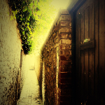 Photographie représentant une ruelle de Honfleur baignée par la lumière d'été. 